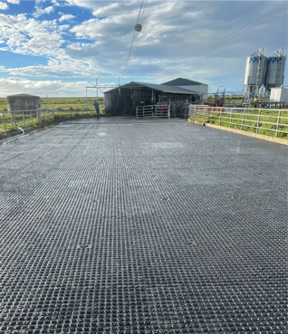Dairy Rubber Mats